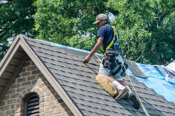 Best Roof Gutter Cleaning  in Dayton, VA
